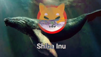 Shiba Inu whale