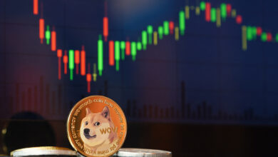 Dogecoin DOGE