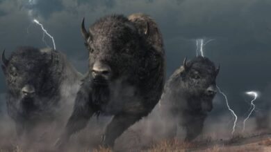 XRP overtakes Bitcoin in trading volume