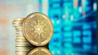 Cardano Base