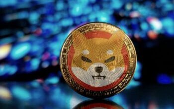 Binance Approves Shiba Inu As Collateral