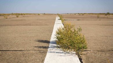 Das Bitcoin-Volumen fällt auf den niedrigsten Stand seit 3 ​​Jahren, da die Sommeraktivitäten nachlassen