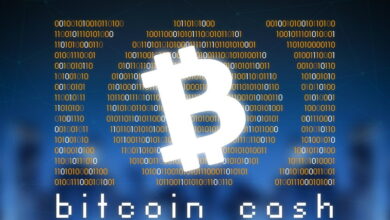 Bitcoin Cash Price