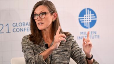 ARK Invest Cathie Wood Spot Bitcoin ETF