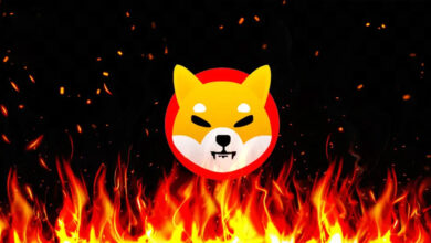 SHIB burn