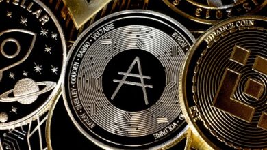 Ist Cardano eine Geisterkette? Nein. Einfach extrem überbewertet