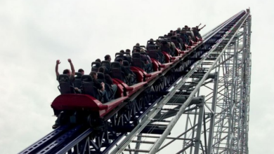 Kurzfristiger Preisanstieg bei Terra Luna Classic – Wird LUNC um 25 % steigen?