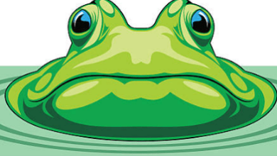 PEPE