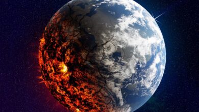 Was ist die PLANET-Kryptowährung und warum liegt sie im Trend?