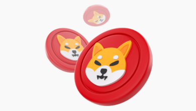 Shiba Inu SHIB Shibarium