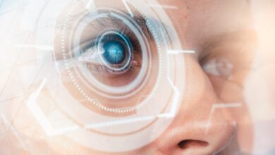 Worldcoin ermöglicht Regierungen und Unternehmen die Nutzung seiner ID-Verifizierungstechnologie