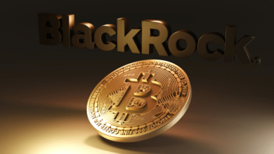 BlackRock Spot Bitcoin ETF