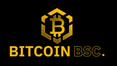 Bitcoin BSC Crypto ICO erreicht 50 % des Soft Cap, nachdem es in 10 Tagen fast 2 Millionen US-Dollar eingesammelt hat