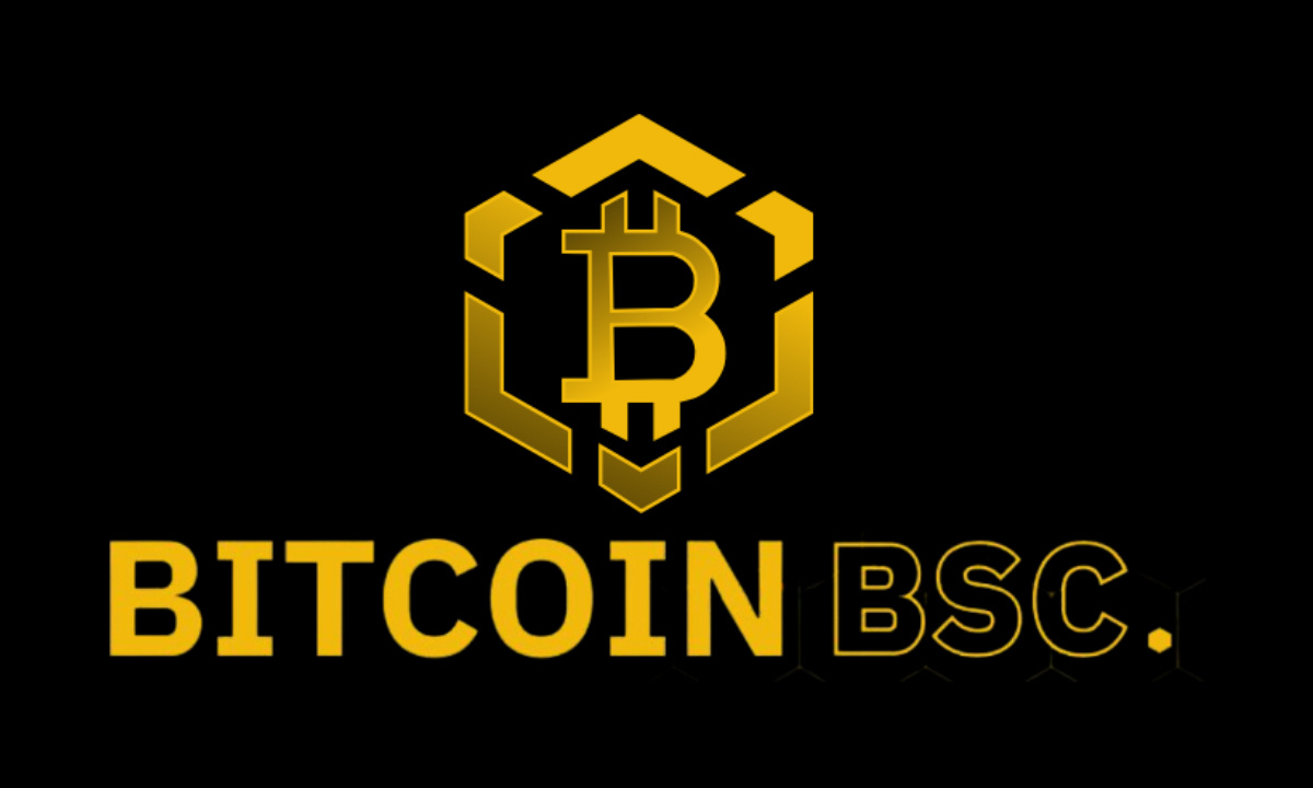 Bitcoin BSC Crypto ICO erreicht 50 % des Soft Cap, nachdem es in 10 Tagen fast 2 Millionen US-Dollar eingesammelt hat
