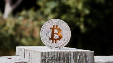 Der Anstieg des Bitcoin-Preises führt dazu, dass die Gewinnmitnahmen ein 2-Monats-Hoch erreichen