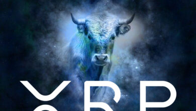 XRP price bull