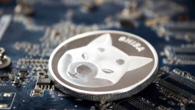 Shiba Inu ($SHIB)-Inhaber stehen vor einem Abschwung, während Borroe.Finance ($ROE) Hoffnung auf generationsübergreifende Gewinne bietet.