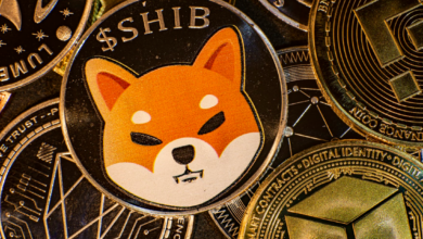 Shiba Inu