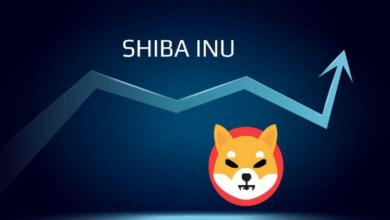 Shiba Inu