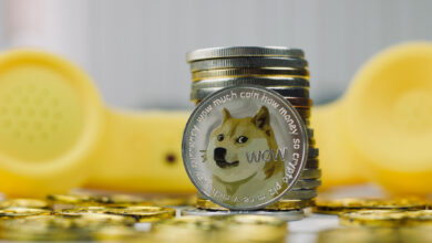 Dogecoin DOGE price