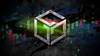 Zusammenstoß zwischen den Gründern von Gala Games führt zum Absturz des GALA-Tokens