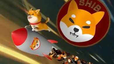 Shiba Inu price prediction
