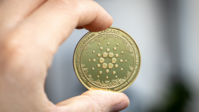 Cardano