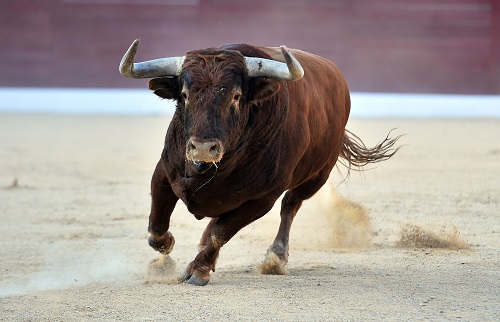 Bitcoin-Preis soll bis Ende nächsten Jahres 125.000 US-Dollar erreichen: Matrixport