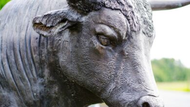 BSV