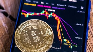 Bitcoin bietet neben diesen unterbewerteten Altcoins Hoffnung
