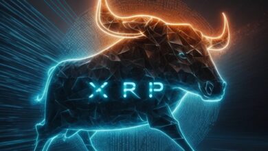 XRP bull