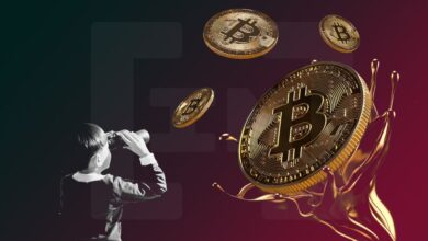 Bitcoin creator Satoshi Nakamoto