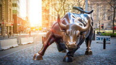 Der Dominanzgrad von Bitcoin liegt jetzt über 50 %, da Altcoins unterdurchschnittlich abschneiden