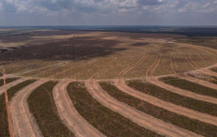 Der Wettlauf zur Rettung des Amazonas lässt Brasiliens wichtige Savanne außer Acht