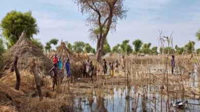 Dutzende Millionen Kinder wurden durch Klimakatastrophen entwurzelt: UNICEF