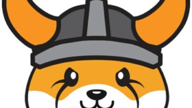 FLOKI startet die Real-World Asset-Tokenisierungsplattform TokenFi, Token steigt um 29,01 %