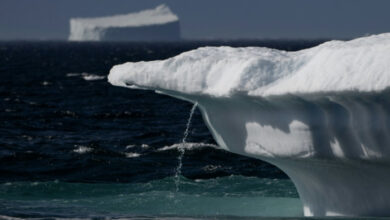 Grönlands Inuit fallen durch das dünne Eis des Klimawandels