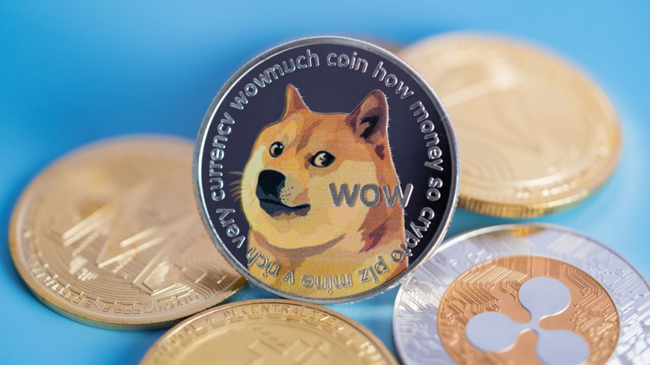 Biggest Movers: DOGE Higher on Wednesday, After Falling to Recent 7-Week Low