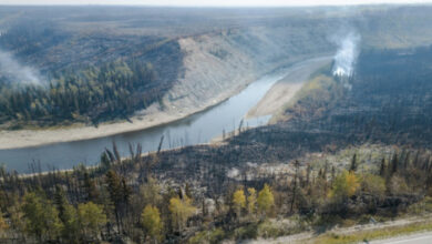 Kanada wurde von einer noch nie dagewesenen Waldbrandsaison heimgesucht