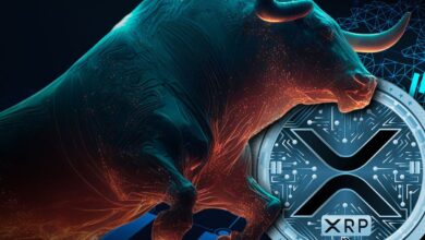XRP price bull