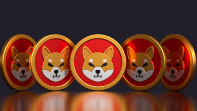 Shiba Inu