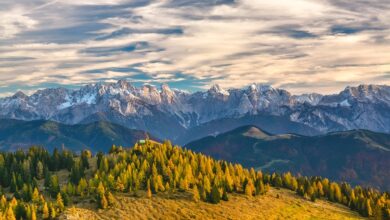 Österreich, Polen und Tschechien verstärken Grenzkontrollen