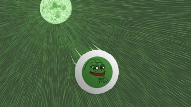 PEPE