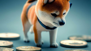 Shiba Inu