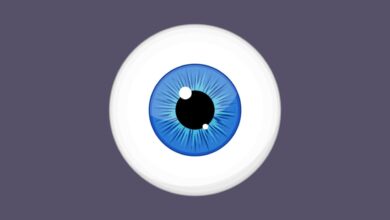 Worldcoin Kenya Controversy: Cabinet Secretary Blasted for Inconsistent Statements About Project’s License Status