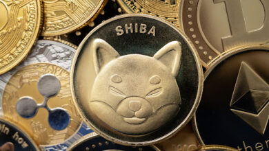3 Hauptgründe, warum Investoren zusammen mit Shiba Inu zu diesem Meme-Coin-Vorverkauf strömen