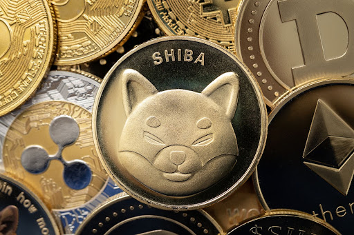 3 Hauptgründe, warum Investoren zusammen mit Shiba Inu zu diesem Meme-Coin-Vorverkauf strömen