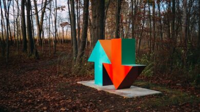 Bitcoin BTC BTCUSDT willy woo