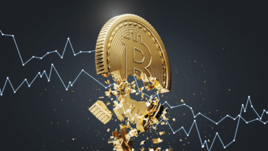Bitcoin crypto crash