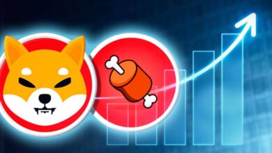 Shiba Inu BONE price